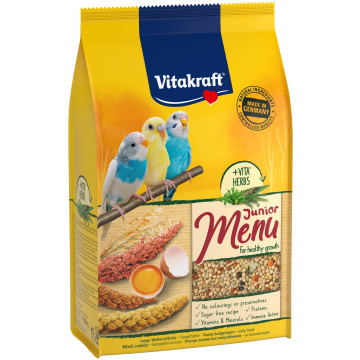 Junior Menu